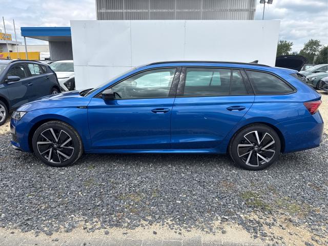 Skoda / Octavia / Grau / / / 