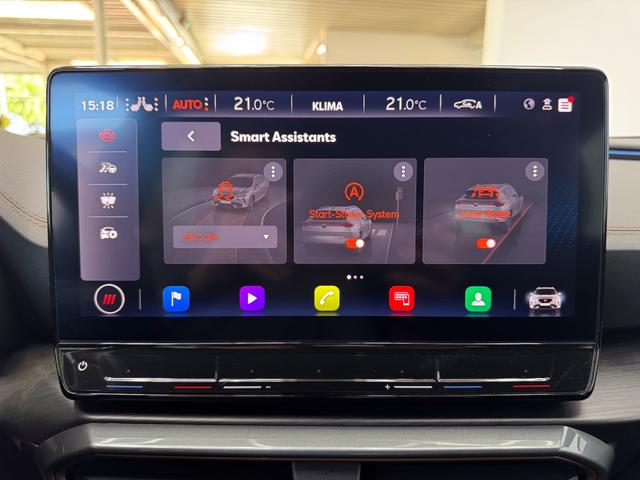 Cupra Formentor 2.0 TDI DSG 4Drive AHK 19ALU NAVI PANO SHZ BEATS RFK XL-Assist EL.Heckklappe ParkAssit 