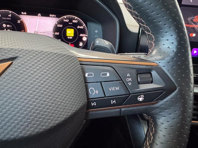 Cupra Formentor 2.0 TDI DSG 4Drive AHK 19ALU NAVI PANO SHZ BEATS RFK XL-Assist EL.Heckklappe ParkAssit 