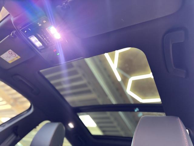 Cupra Formentor 2.0 TDI DSG 4Drive AHK 19ALU NAVI PANO SHZ BEATS RFK XL-Assist EL.Heckklappe ParkAssit 