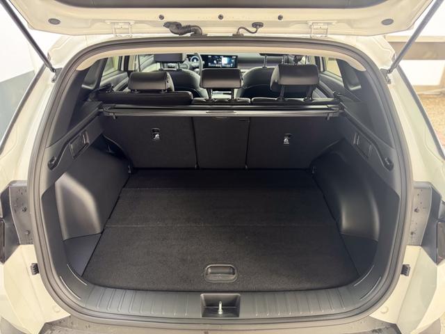 Hyundai TUCSON Premium PHEV PANO SHZ v+h 18 ALU 