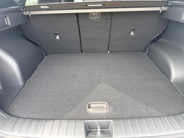 Hyundai TUCSON Premium DCT N-LINE PANO E-SHIFT NAVI ACC 