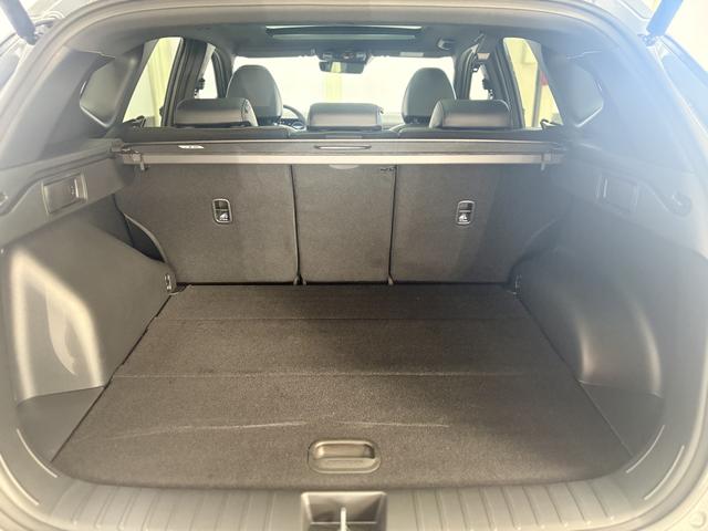 Hyundai TUCSON PREMIUM DCT N-LINE PANO E-SHIFT NAVI ACC 