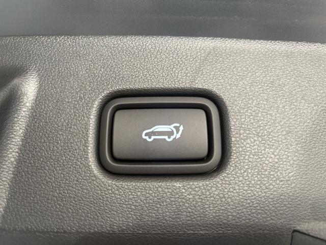 Hyundai TUCSON PREMIUM DCT N-LINE PANO E-SHIFT NAVI ACC 