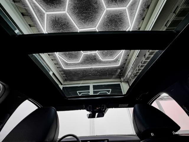 Hyundai TUCSON HEV PREMIUM AUT N-LINE PANO NAVI EL.HECKKLAPPE RFK PDC 