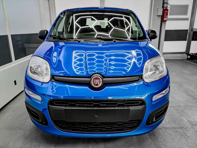 Fiat Panda - Pandina KLIMA PDC EL.PAKET 5 Kopfst&uuml;tzen