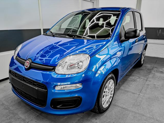 Fiat Panda - Pandina KLIMA PDC EL.PAKET 5 Kopfst&uuml;tzen