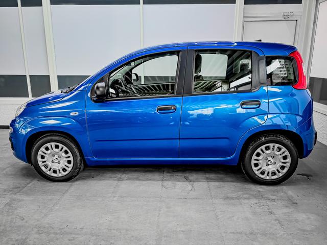 Fiat Panda Pandina KLIMA PDC EL.PAKET 5 Kopfst&uuml;tzen 