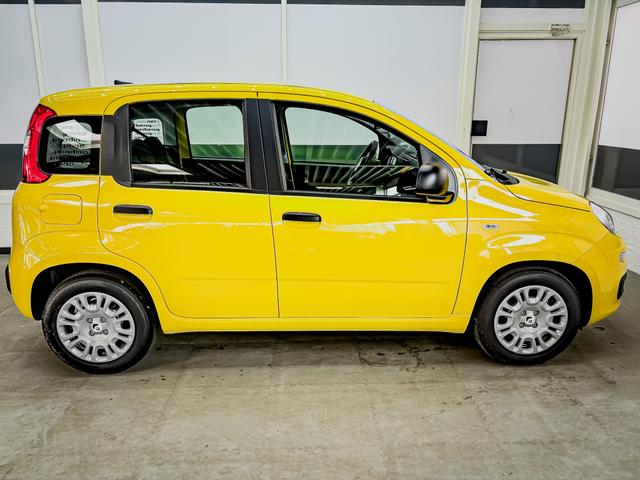 Fiat Panda Pandina KLIMA PDC EL.PAKET 5 Kopfst&uuml;tzen 