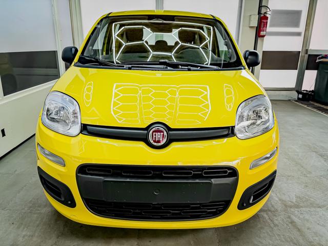 Fiat Panda - Pandina KLIMA PDC EL.PAKET 5 Kopfst&uuml;tzen