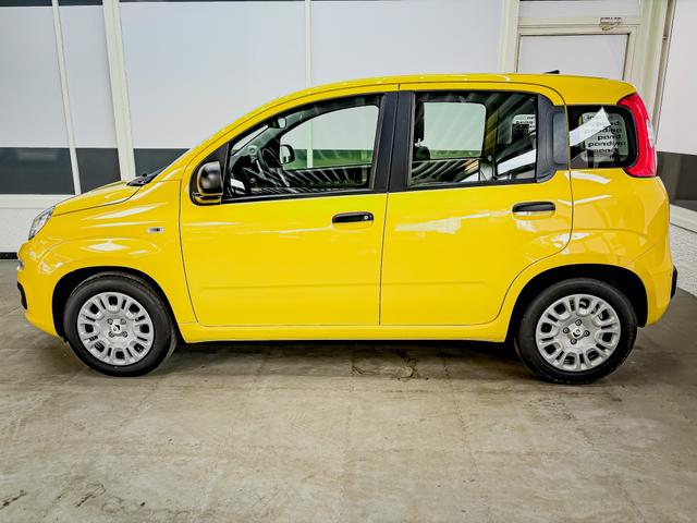 Fiat Panda Pandina KLIMA PDC EL.PAKET 5 Kopfst&uuml;tzen 