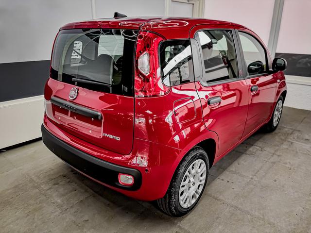 Fiat Panda Pandina KLIMA PDC EL.PAKET 5 Kopfst&uuml;tzen 