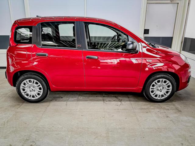 Fiat Panda Pandina KLIMA PDC EL.PAKET 5 Kopfst&uuml;tzen 