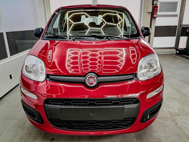 Fiat Panda - Pandina KLIMA PDC EL.PAKET 5 Kopfst&uuml;tzen