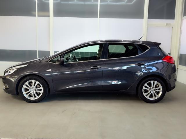 Kia Ceed FIFA World Cup Edition SHZ KLIMAAUTOMATIK PDC 
