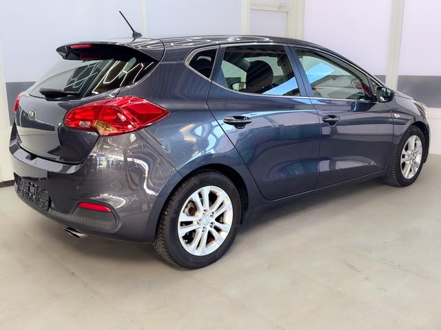 Kia Ceed FIFA World Cup Edition SHZ KLIMAAUTOMATIK PDC 