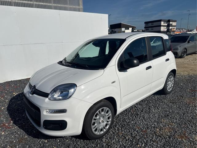 Fiat Panda - Pandina KLIMA PDC EL.PAKET 5 Kopfst&uuml;tzen