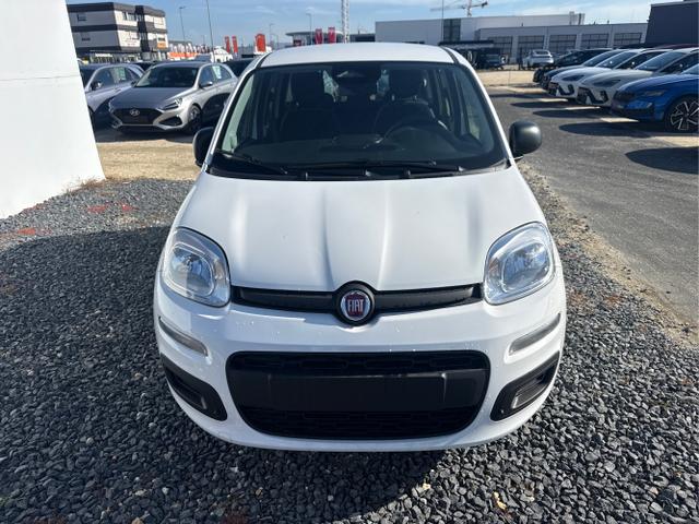 Fiat Panda - Pandina KLIMA PDC EL.PAKET 5 Kopfst&uuml;tzen