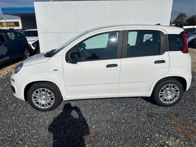 Fiat / Panda / Grau / / / 