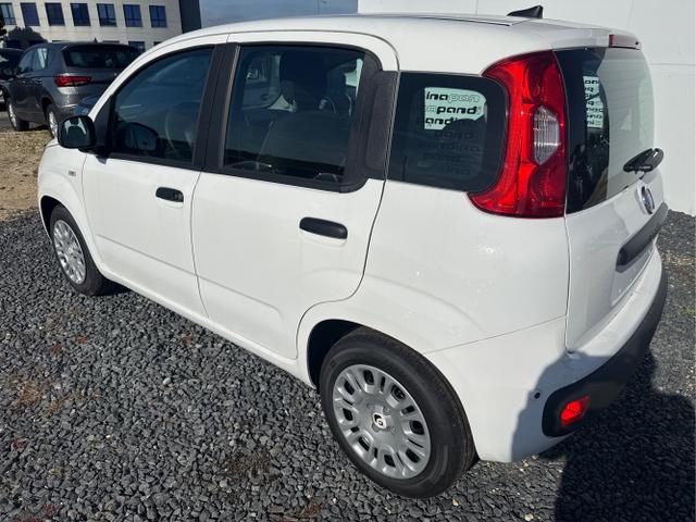 Fiat / Panda / Grau / / / 