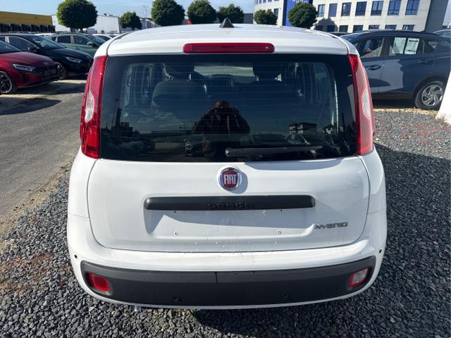 Fiat / Panda / Grau / / / 