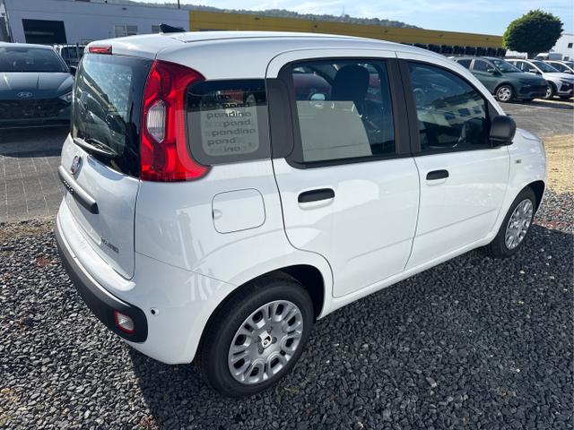 Fiat / Panda / Grau / / / 
