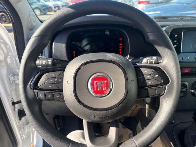 Fiat / Panda / Grau / / / 
