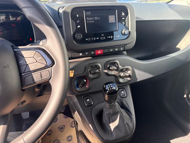 Fiat / Panda / Grau / / / 