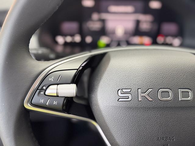 Skoda Kamiq Easy DSG AHK TEMPOMAT SHZ ALU 
