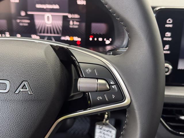 Skoda Kamiq Easy DSG AHK TEMPOMAT SHZ ALU 