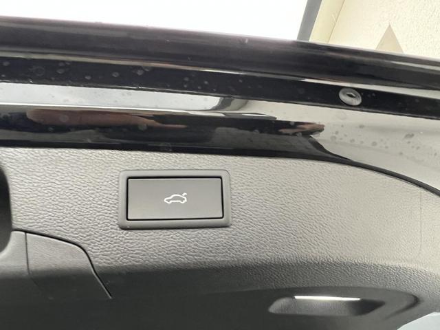 Volkswagen Passat Variant Elegance 2,0 TDI DSG Winterpaket 