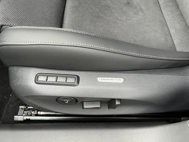 Volkswagen Passat Variant Elegance 2,0 TDI DSG Winterpaket 