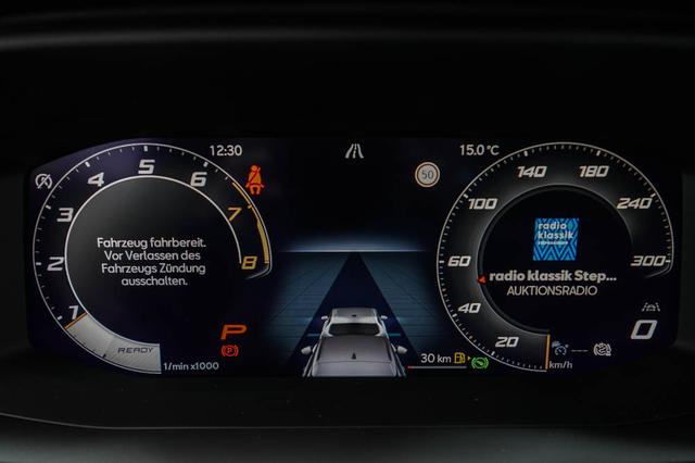 Cupra Terramar 2,0 TSI DSG 4Drive VZ - LAGER 