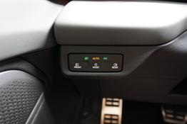 Cupra Terramar 2,0 TSI DSG 4Drive VZ - LAGER 