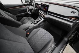 Cupra Terramar 2,0 TSI DSG 4Drive VZ - LAGER 