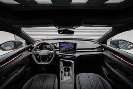 Cupra Terramar 2,0 TSI DSG 4x4 VZ - LAGER 