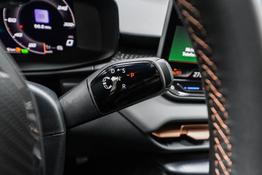 Cupra Terramar 2,0 TSI DSG 4x4 VZ - LAGER 