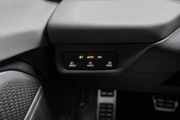 Cupra Terramar 2,0 TSI DSG 4x4 VZ - LAGER 