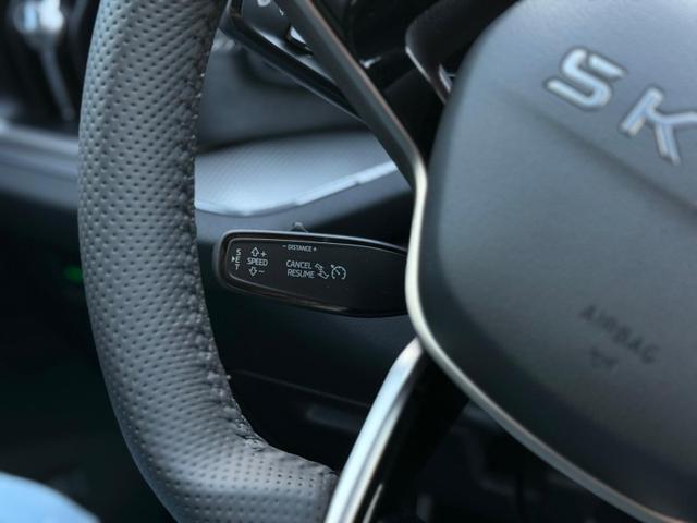 Kodiaq Sportline 2.0 TDI DSG 4x4 7Sitzer*AHK*NAVI*SHZ*Matrix*360°*IPA*Keyless*Canton 