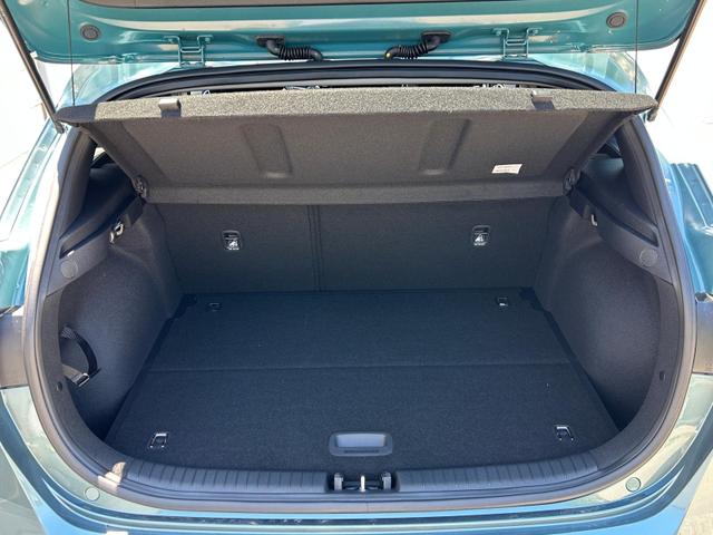 Kia Ceed Gold Android 1.5 T-GDi, DCT Auto*Navi*WinterPak*Klimaauto*16"*Kamera*PrivacyGlas* 