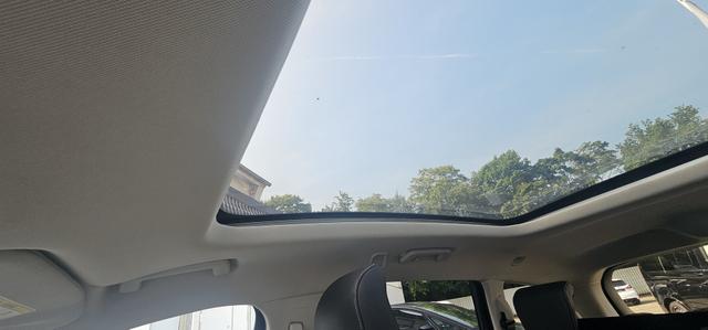 Ford S-MAX 2.0 EcoBlue Aut. VIGNALE Pano LED Navi 
