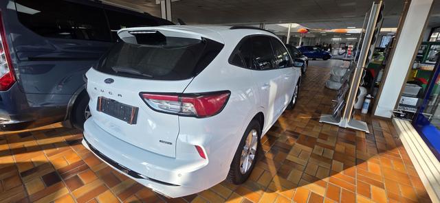 Ford Kuga 2.5 Duratec PHEV ST-LINE X ACC LED Head-Up 