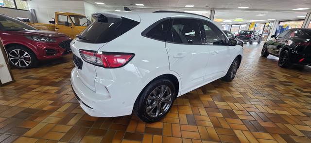 Ford Kuga 2.0 EcoBlue 4x4 Aut. ST-LINE X AHK ACC Camera 