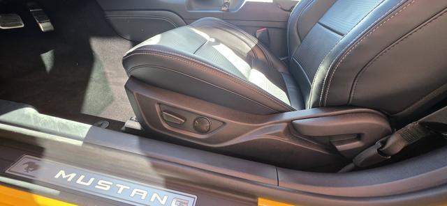 Ford Mustang Fastback 5.0 Ti-VCT V8 Aut. GT 19 Zoll LED Navi 