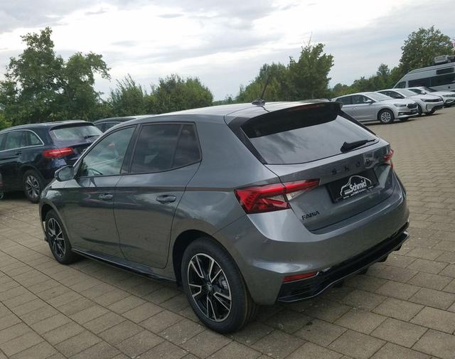 Skoda / Fabia / Grau / Monte Carlo / Grau / 