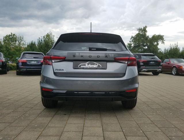 Skoda / Fabia / Grau / Monte Carlo / Grau / 