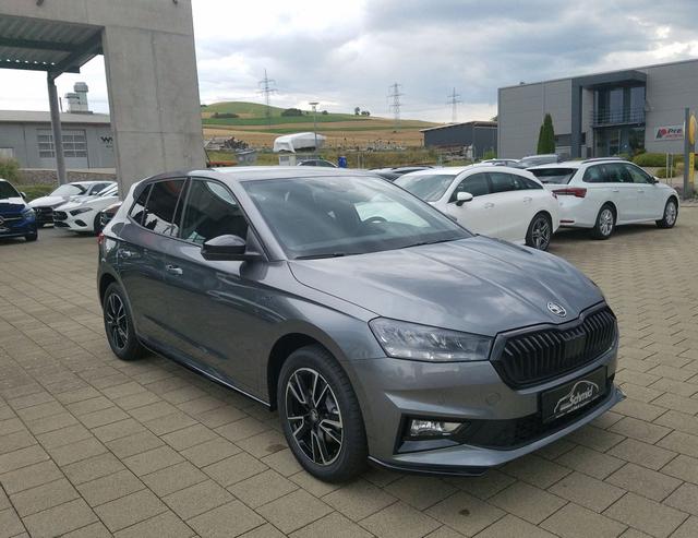 Skoda / Fabia / Grau / Monte Carlo / Grau / 