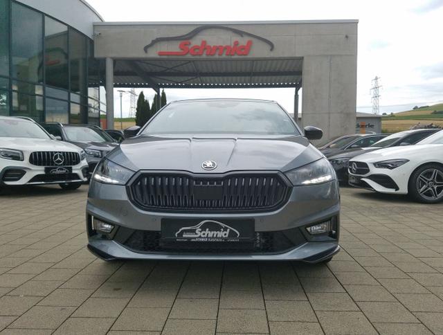 Skoda / Fabia / Grau / Monte Carlo / Grau / 