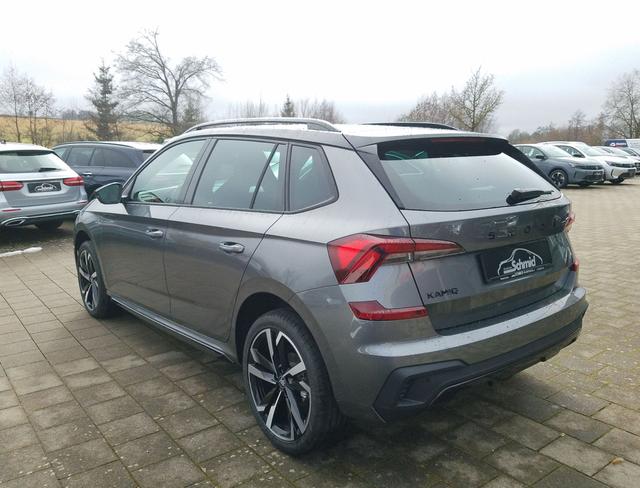 Skoda / Kamiq / / MC / Grau / 