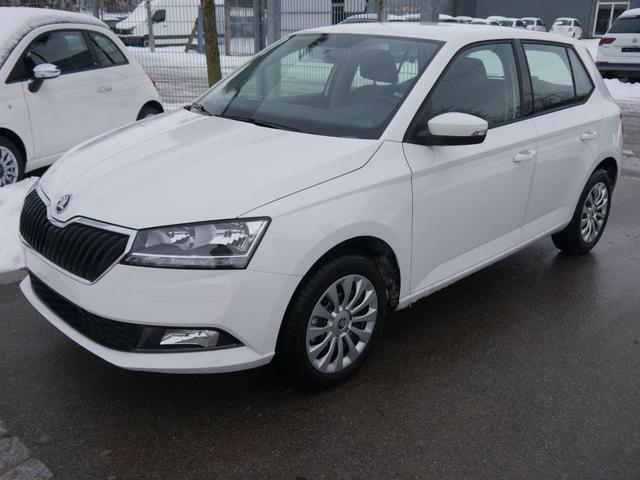 Skoda Fabia - 1.0 TSI DSG AMBITION * WINTERPAKET R&Uuml;CKFAHRKAMERA SITZHEIZUNG SMARTLINK
